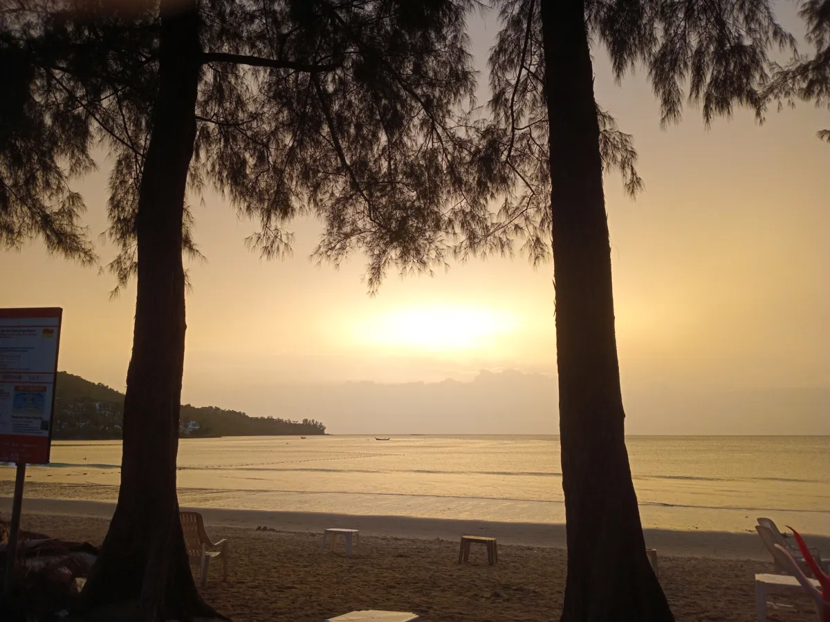 Golden sunset over the sea framed by trees