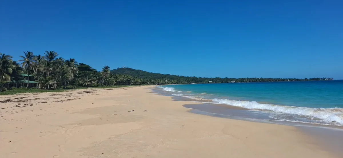 Quiet tropical beach with turquoise water and palm trees