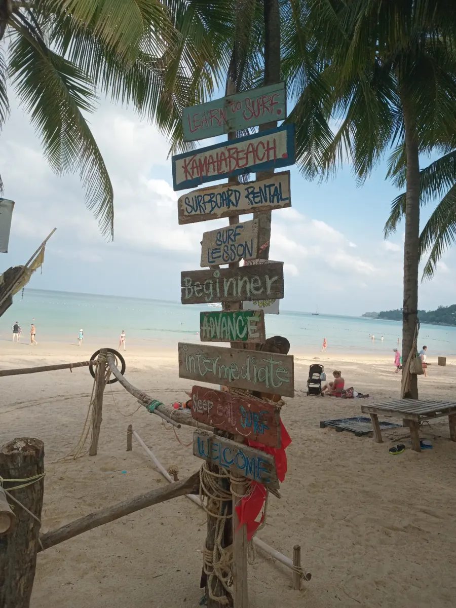 Colorful wooden directional signs on a sandy beach with palm trees